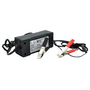 Merlion LiFePO4 12V(14,6V)-5A-60W Зарядний пристрій для акумуляторів 99-00015859 фото