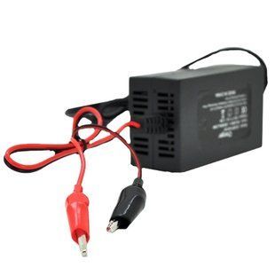 MERLION YT-CH-12200 Автоматичний ЗП для акумулятора 12V(5-20Ah) 99-00013420 фото